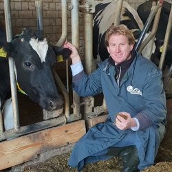 Bouke Kroeze | Tierarzt u. Inhaber