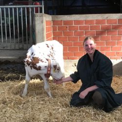 Anne Dol | Tierärztin